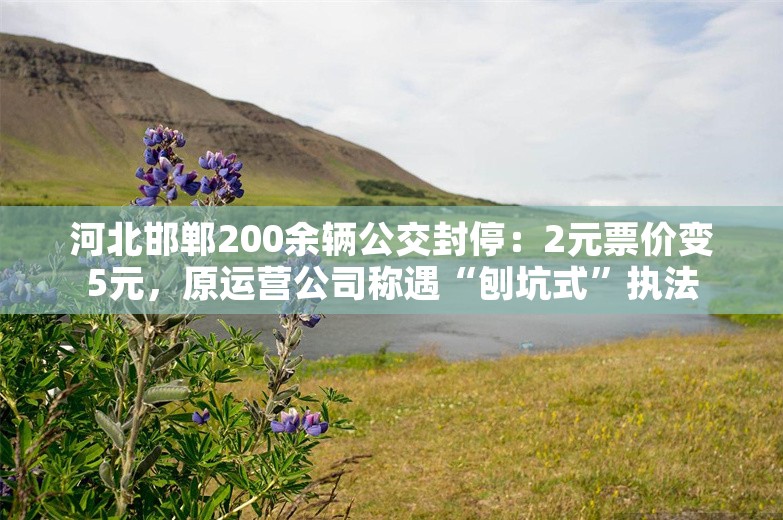 河北邯郸200余辆公交封停：2元票价变5元，原运营公司称遇“刨坑式”执法