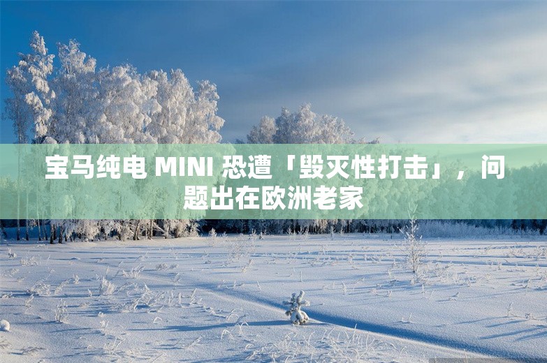 宝马纯电 MINI 恐遭「毁灭性打击」，问题出在欧洲老家