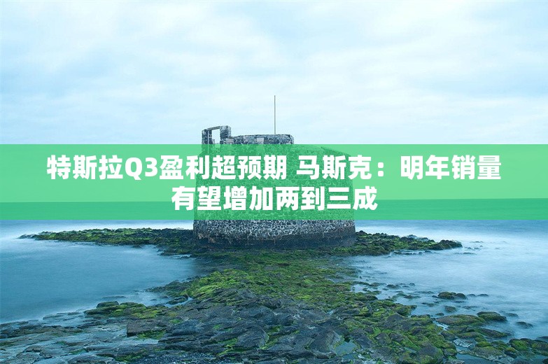 特斯拉Q3盈利超预期 马斯克：明年销量有望增加两到三成