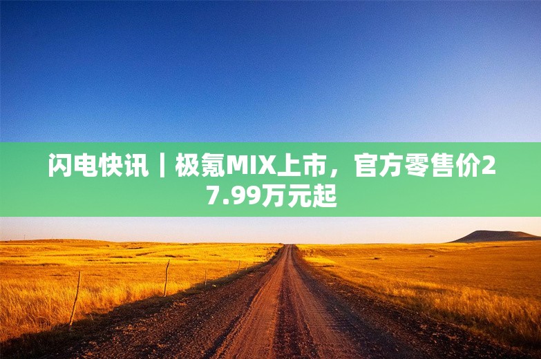 闪电快讯｜极氪MIX上市，官方零售价27.99万元起