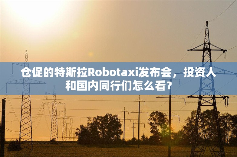 仓促的特斯拉Robotaxi发布会，投资人和国内同行们怎么看？