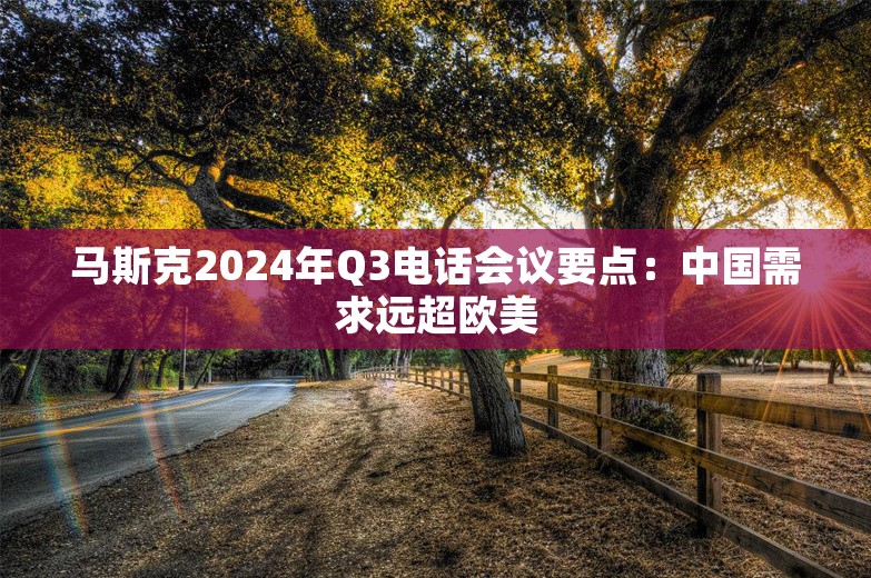 马斯克2024年Q3电话会议要点：中国需求远超欧美