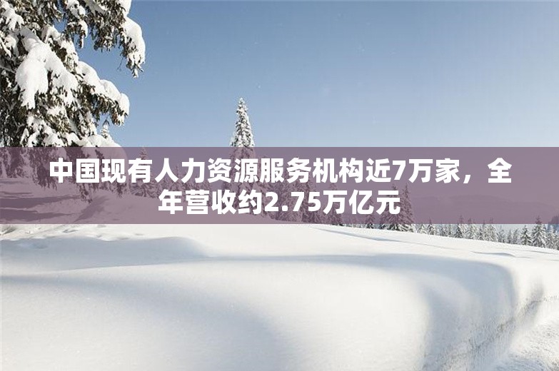 中国现有人力资源服务机构近7万家，全年营收约2.75万亿元