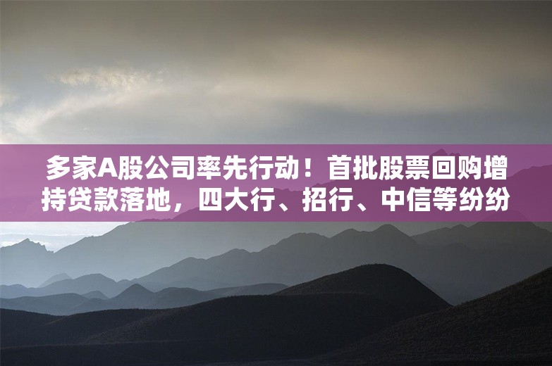 多家A股公司率先行动！首批股票回购增持贷款落地，四大行、招行、中信等纷纷参与