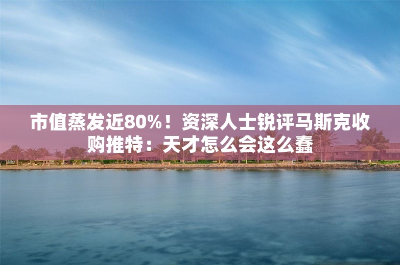 市值蒸发近80%！资深人士锐评马斯克收购推特：天才怎么会这么蠢