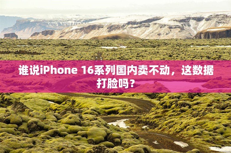 谁说iPhone 16系列国内卖不动，这数据打脸吗？