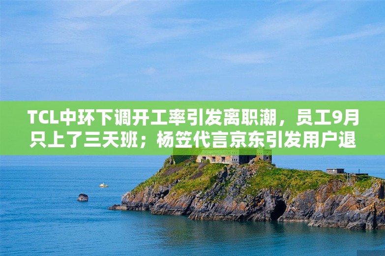 TCL中环下调开工率引发离职潮，员工9月只上了三天班；杨笠代言京东引发用户退款抗议，京东：已取消合作；大疆起诉美国国防部丨雷峰早报