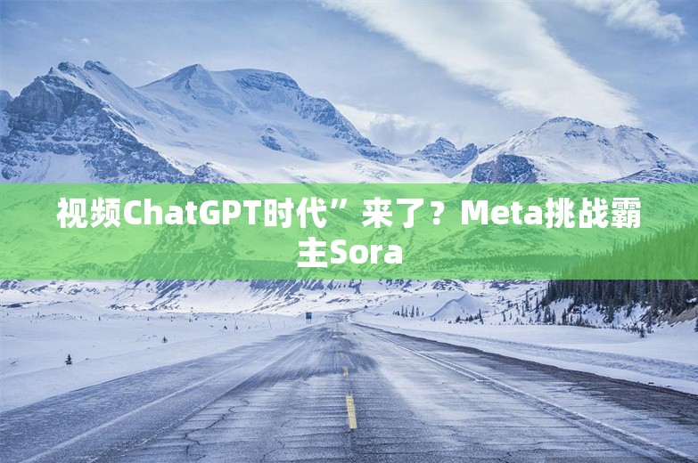 视频ChatGPT时代”来了？Meta挑战霸主Sora