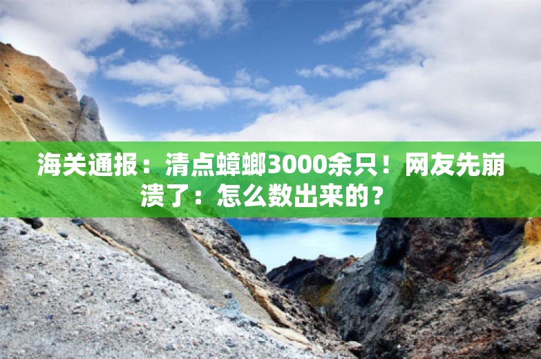 海关通报：清点蟑螂3000余只！网友先崩溃了：怎么数出来的？ 