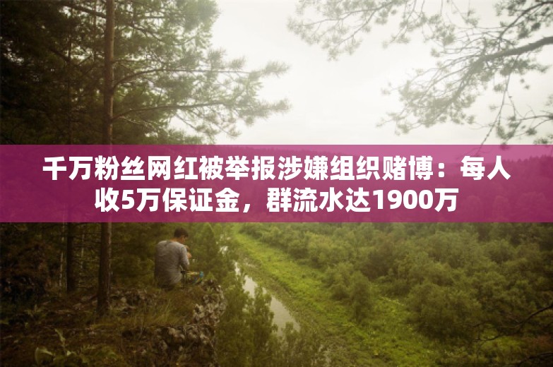 千万粉丝网红被举报涉嫌组织赌博：每人收5万保证金，群流水达1900万