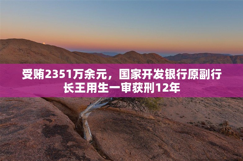 受贿2351万余元，国家开发银行原副行长王用生一审获刑12年