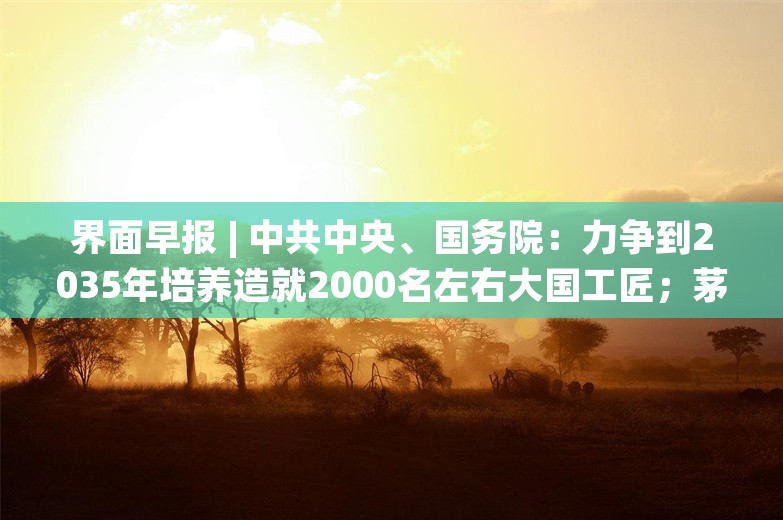 界面早报 | 中共中央、国务院：力争到2035年培养造就2000名左右大国工匠；茅台香港经销商降价近千港元销售飞天