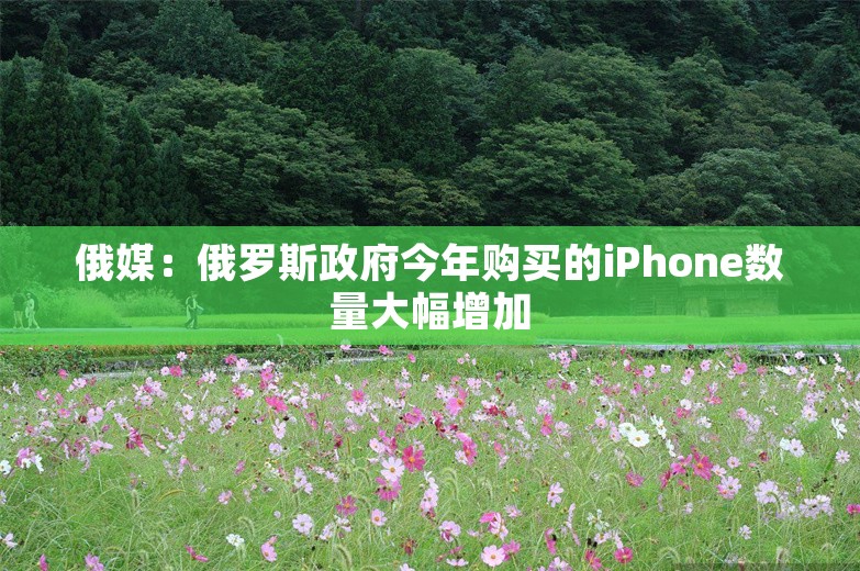 俄媒：俄罗斯政府今年购买的iPhone数量大幅增加