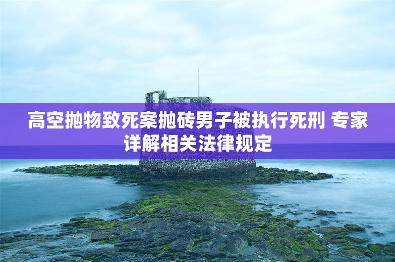 高空抛物致死案抛砖男子被执行死刑 专家详解相关法律规定