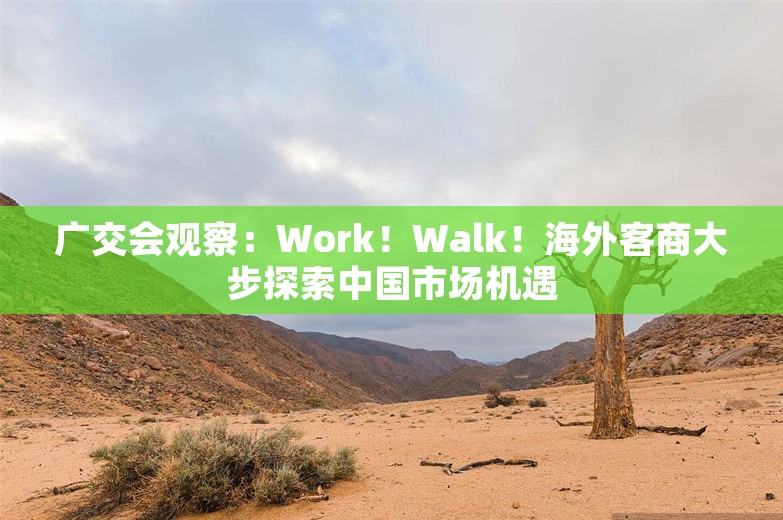 广交会观察：Work！Walk！海外客商大步探索中国市场机遇