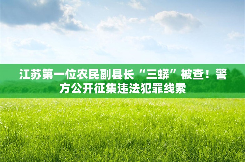 江苏第一位农民副县长“三蟒”被查！警方公开征集违法犯罪线索