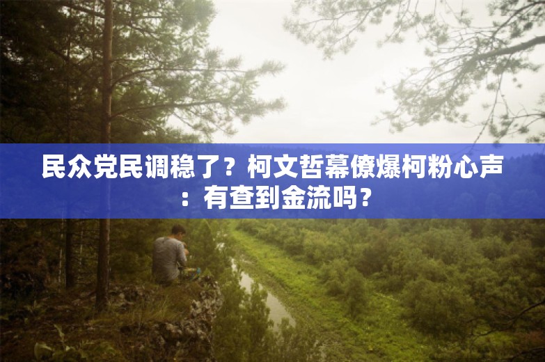 民众党民调稳了？柯文哲幕僚爆柯粉心声：有查到金流吗？