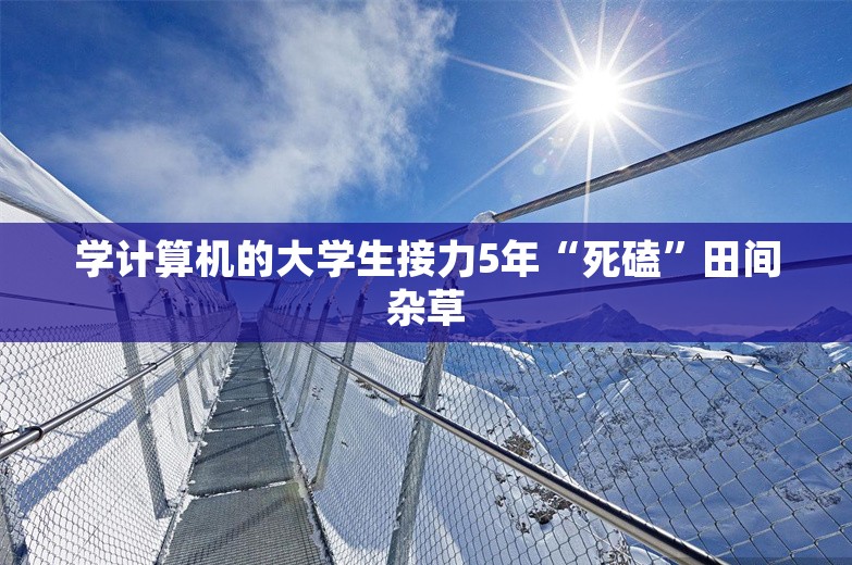 学计算机的大学生接力5年“死磕”田间杂草