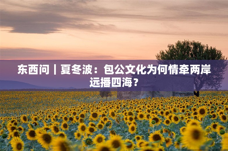 东西问｜夏冬波：包公文化为何情牵两岸远播四海？