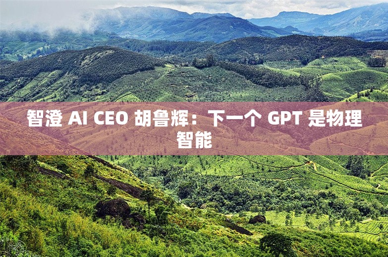 智澄 AI CEO 胡鲁辉：下一个 GPT 是物理智能