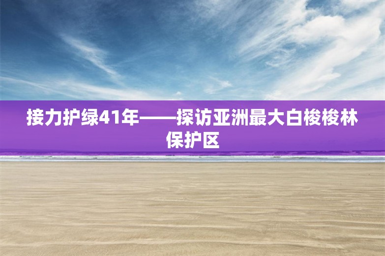 接力护绿41年——探访亚洲最大白梭梭林保护区