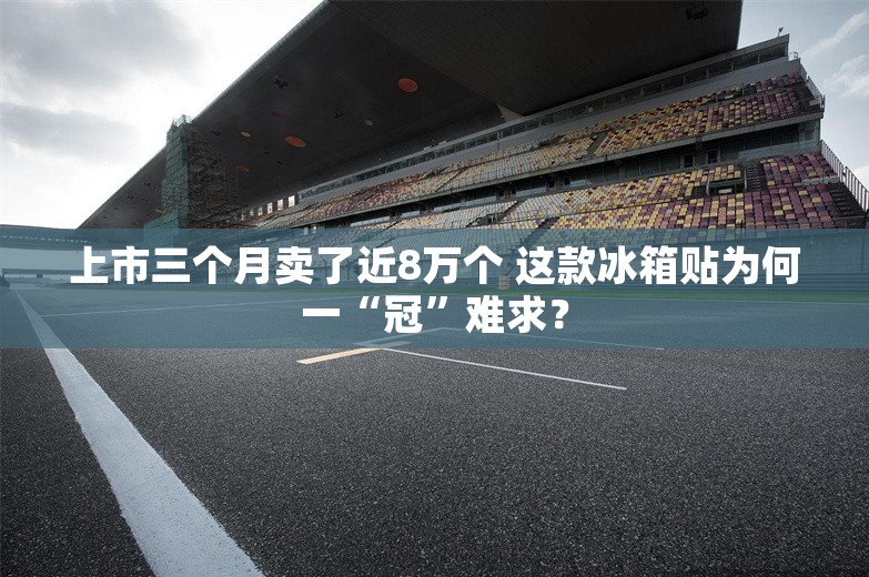 上市三个月卖了近8万个 这款冰箱贴为何一“冠”难求？