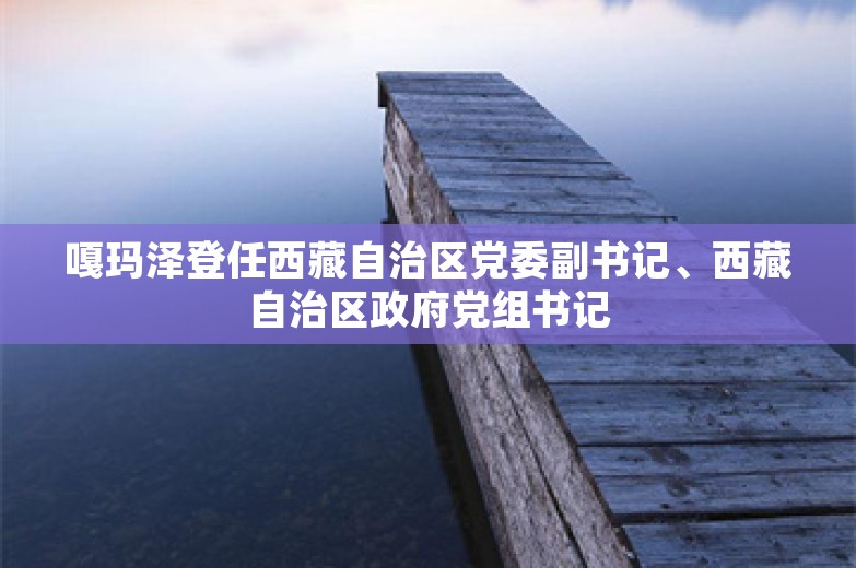 嘎玛泽登任西藏自治区党委副书记、西藏自治区政府党组书记