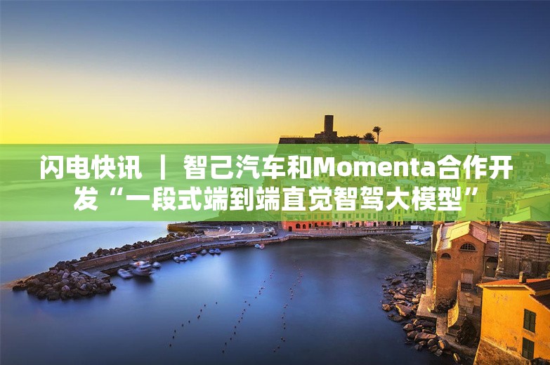 闪电快讯 ｜ 智己汽车和Momenta合作开发“一段式端到端直觉智驾大模型”