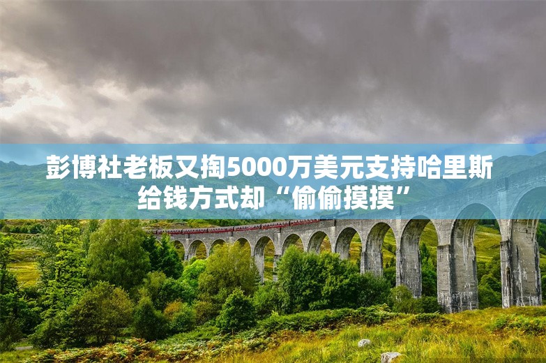 彭博社老板又掏5000万美元支持哈里斯 给钱方式却“偷偷摸摸”