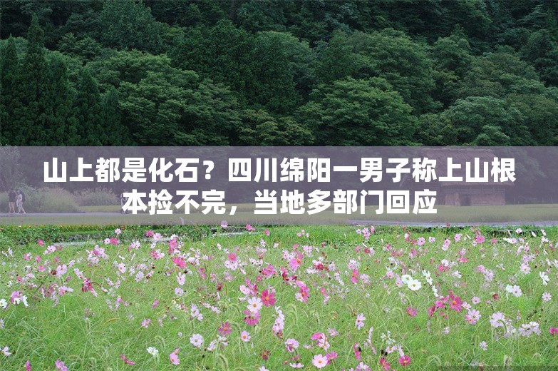 山上都是化石？四川绵阳一男子称上山根本捡不完，当地多部门回应