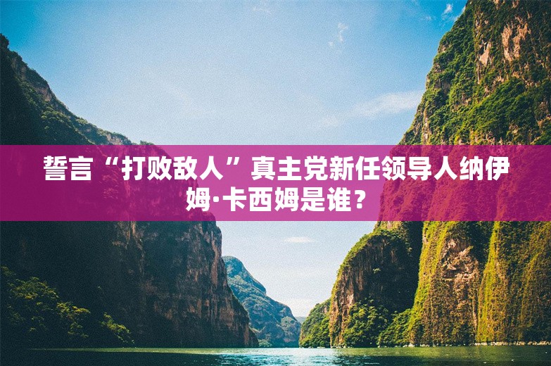 誓言“打败敌人”真主党新任领导人纳伊姆·卡西姆是谁？