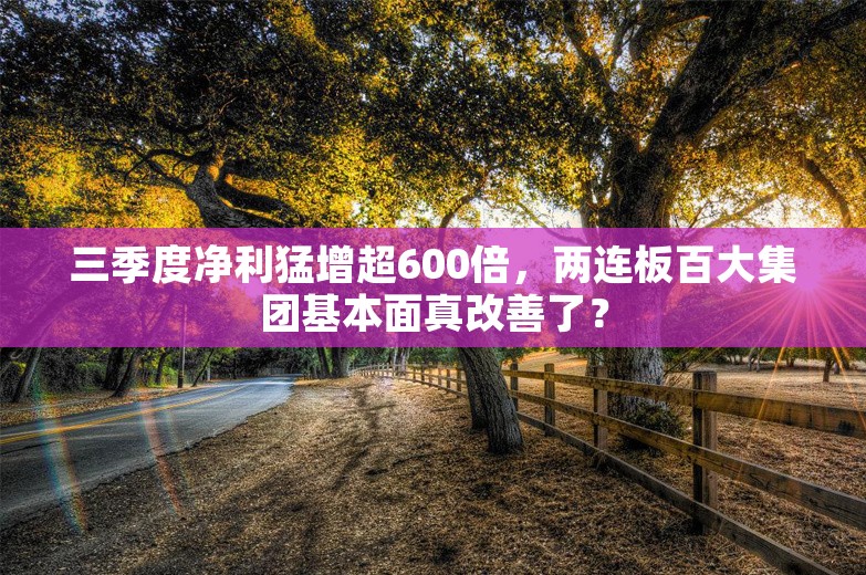 三季度净利猛增超600倍，两连板百大集团基本面真改善了？