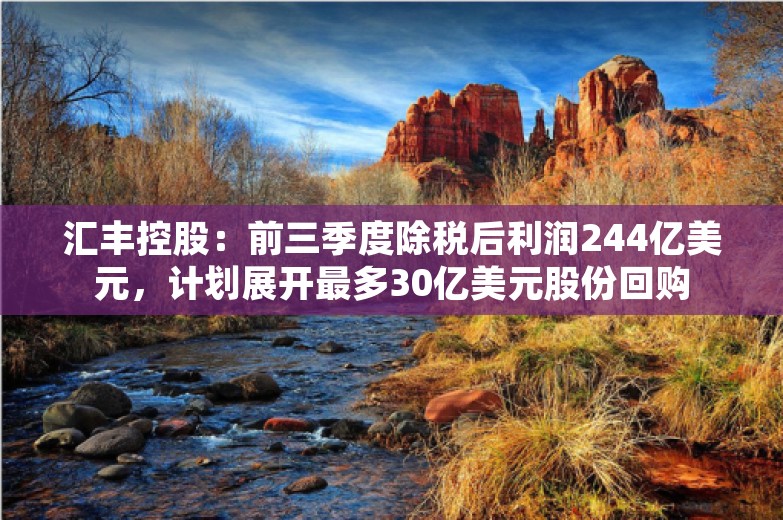 汇丰控股：前三季度除税后利润244亿美元，计划展开最多30亿美元股份回购