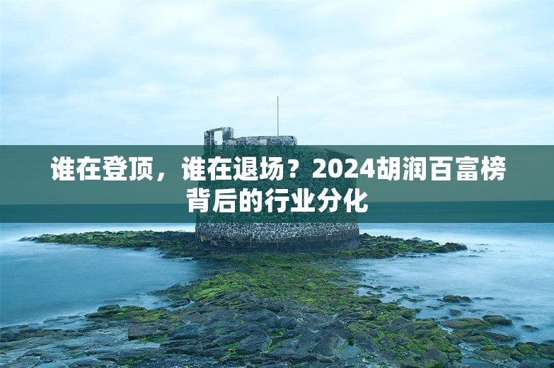 谁在登顶，谁在退场？2024胡润百富榜背后的行业分化