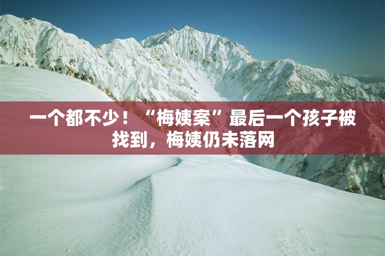 一个都不少！“梅姨案”最后一个孩子被找到，梅姨仍未落网