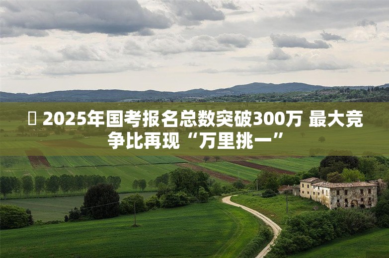 ​ 2025年国考报名总数突破300万 最大竞争比再现“万里挑一”