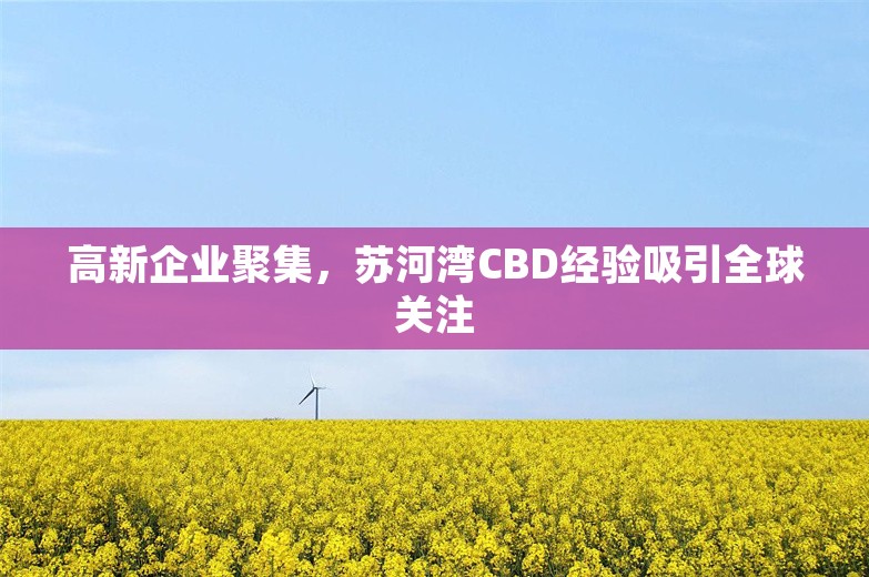 高新企业聚集，苏河湾CBD经验吸引全球关注