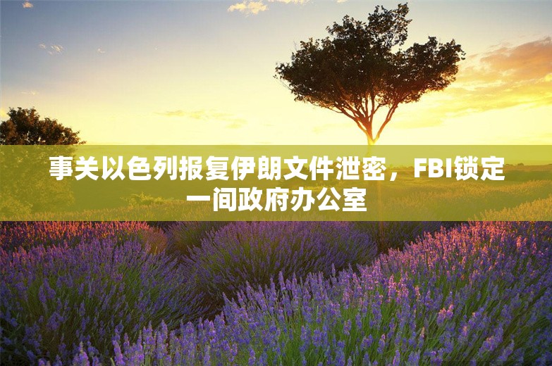 事关以色列报复伊朗文件泄密，FBI锁定一间政府办公室