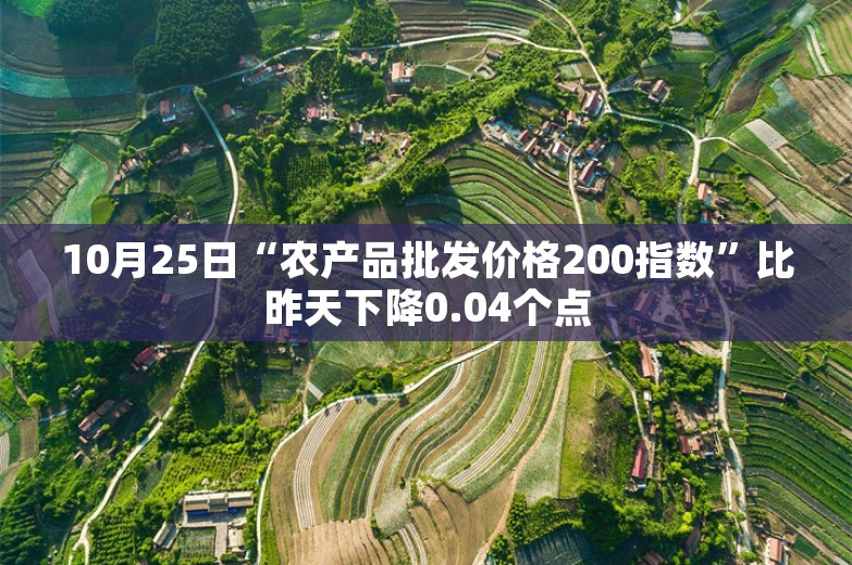 10月25日“农产品批发价格200指数”比昨天下降0.04个点