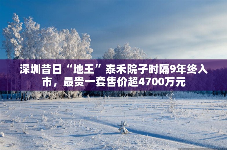 深圳昔日“地王”泰禾院子时隔9年终入市，最贵一套售价超4700万元