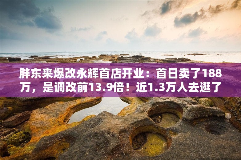 胖东来爆改永辉首店开业：首日卖了188万，是调改前13.9倍！近1.3万人去逛了，开业20分钟就限流