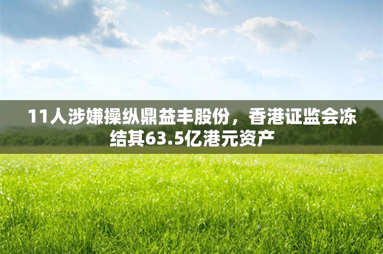 11人涉嫌操纵鼎益丰股份，香港证监会冻结其63.5亿港元资产