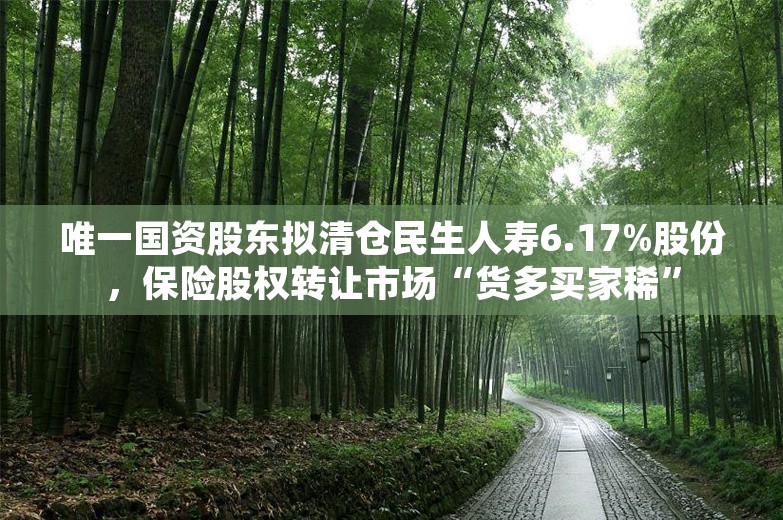 唯一国资股东拟清仓民生人寿6.17%股份，保险股权转让市场“货多买家稀”