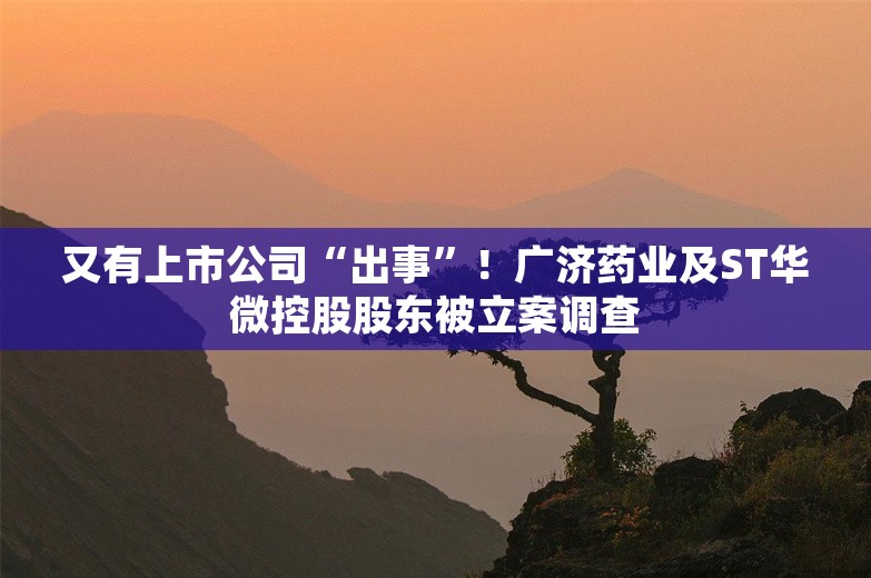 又有上市公司“出事”！广济药业及ST华微控股股东被立案调查