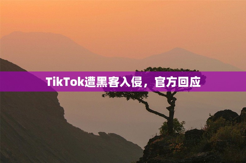 TikTok遭黑客入侵，官方回应