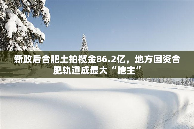 新政后合肥土拍揽金86.2亿，地方国资合肥轨道成最大“地主”