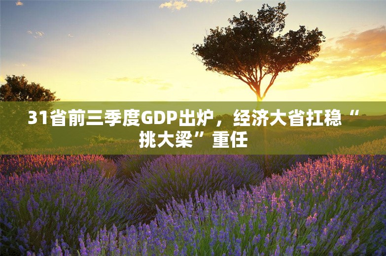 31省前三季度GDP出炉，经济大省扛稳“挑大梁”重任