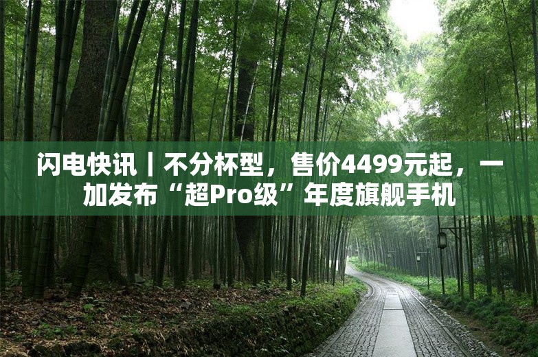 闪电快讯｜不分杯型，售价4499元起，一加发布“超Pro级”年度旗舰手机