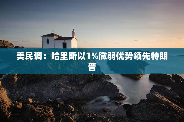 美民调：哈里斯以1%微弱优势领先特朗普