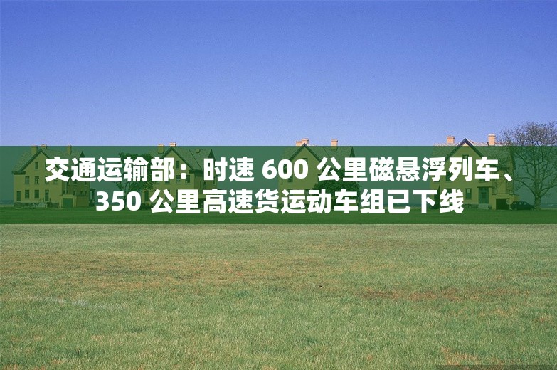 交通运输部：时速 600 公里磁悬浮列车、350 公里高速货运动车组已下线